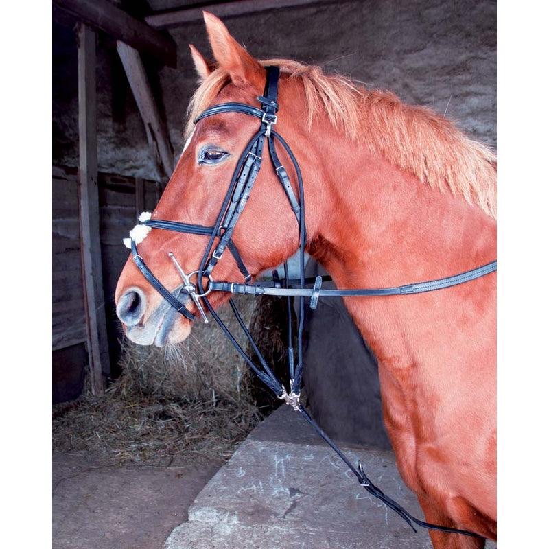 TdeT Gogue Classique - SHOPHORSE